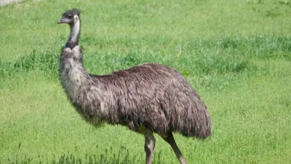 Captura de pantalla 2025-10-14 112153