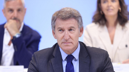 El líder del PP, Alberto Núñez Feijóo durante una reunión del Comité Ejecutivo Nacional del PP