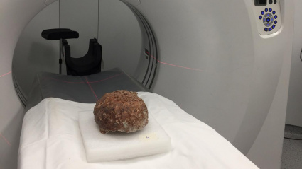 Huevos de titanosaurio de hace 72 millones de años