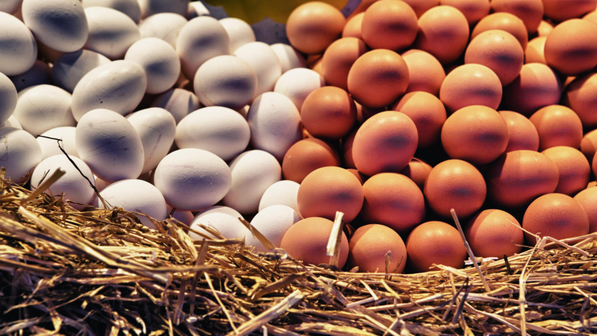 Imagen de recurso de huevos en una granja