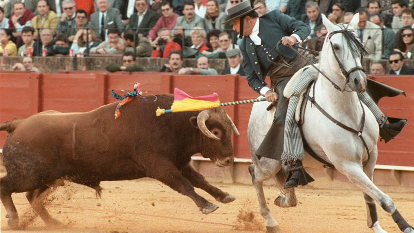 Álvaro Domecq durante una actuación en la Real Maestranza de Sevilla