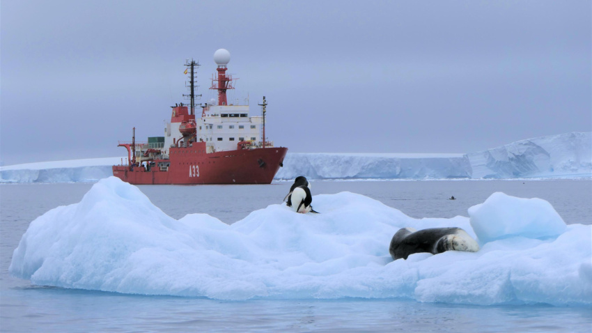 El Hespérides en la Antártida