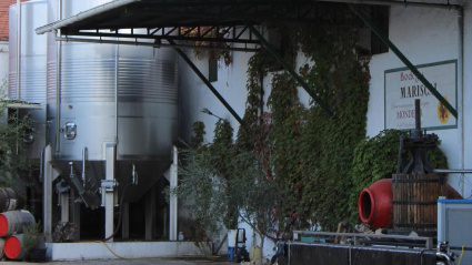 En Mondéjar, descubrimos la primera D.O. de la provincia