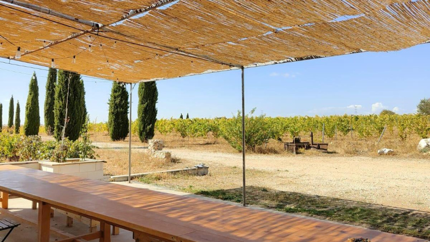 El proyecto pretende generar "un producto turístico completo"