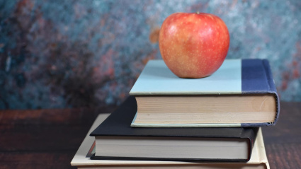 el dicho pervive en un contexto en el que, si bien no es comparable a la situación de siglos pasados, la profesión docente sigue enfrentándose a sus propios desafíos.