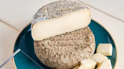 Queso Curado de moho