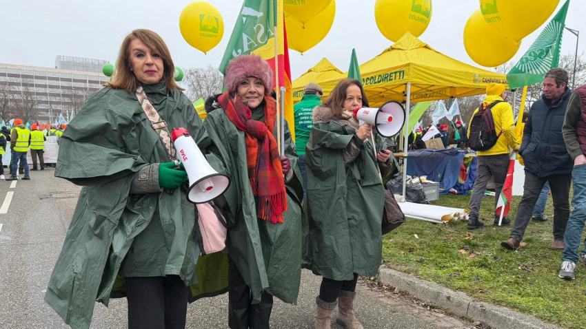 Manifestación en Estrasburgo