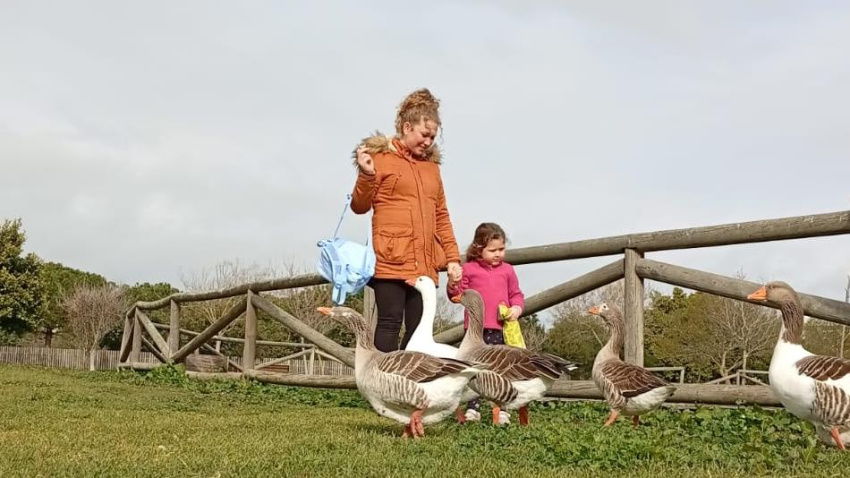 Todas las donaciones se pueden realizar a través del sitio web de la Fundación Martín Álvarez Muelas