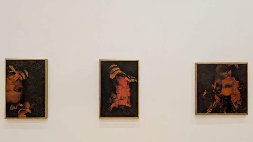 Algunas obras de la colección 'Metamorfosis' de Faustino Cuevas