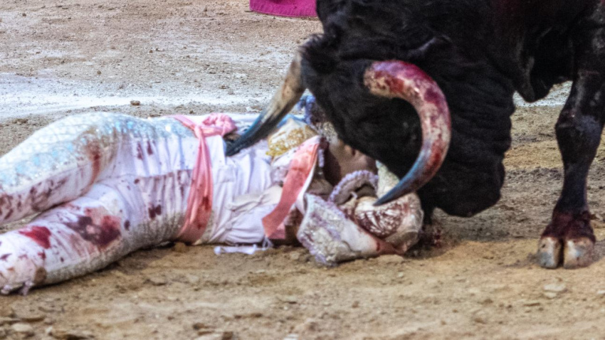 Momento del percance sufrido este domingo por Cristian Pérez en Las Ventas