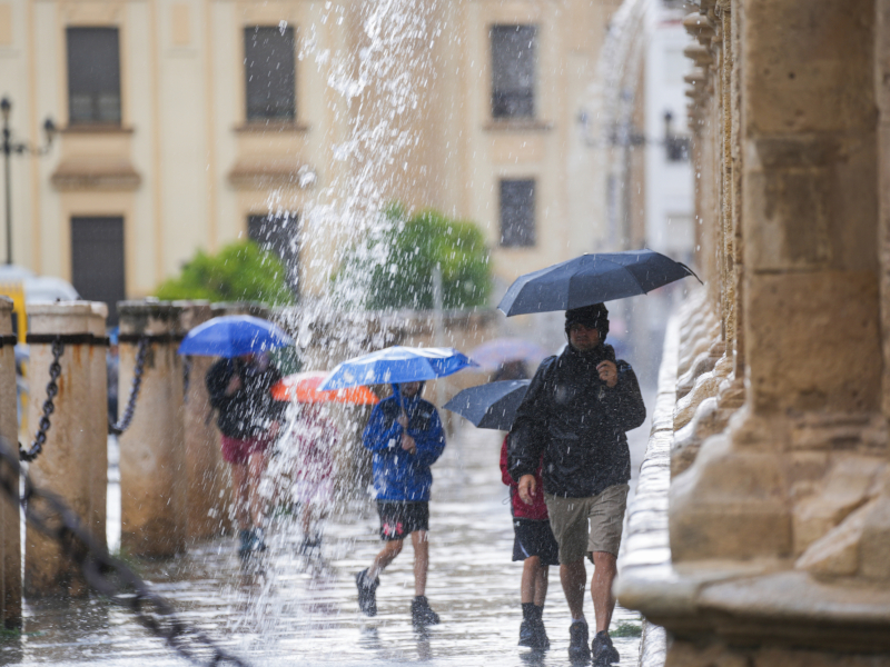 Transeúntes protegidos con paraguas durante las fuertes lluvias. A 19 de junio de 2024, en Sevilla (Andalucía, España). Durante la jornada de hoy miércoles algunas zonas de la provincia de Sevilla vivirá fuertes lluvias.
María José López / Europa Press
(Foto de ARCHIVO)
19/6/2024