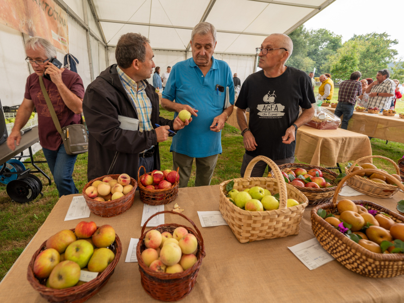 El concurso de fruta fue otro de los atractivos