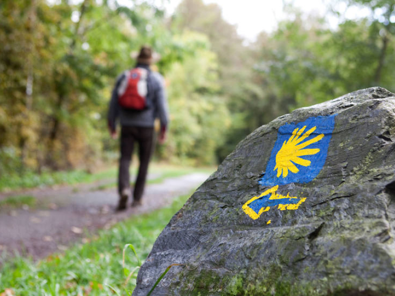 Un abuelo y su nieto de siete años hacen el Camino de Santiago y no dan crédito a lo que encuentran durante una etapa: "Apareció en medio"