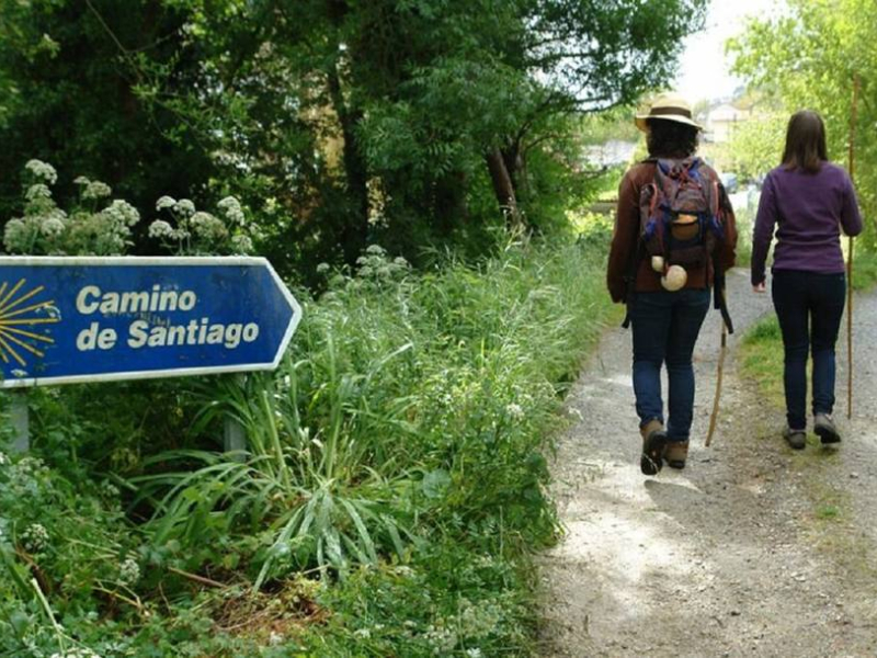 Un abuelo y su nieto de siete años hacen el Camino de Santiago y no dan crédito a lo que encuentran durante una etapa: "Apareció en medio"