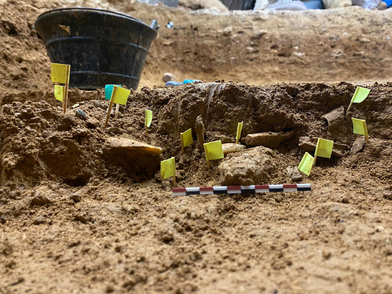 Campaña de excavación en el yacimiento neandertal de la cueva de Prado Vargas