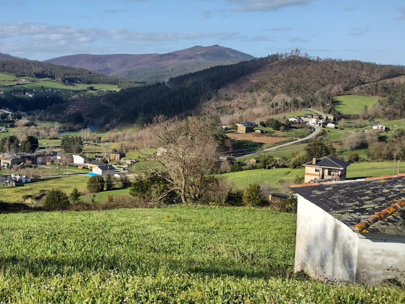 Vuelta a la vida de campo