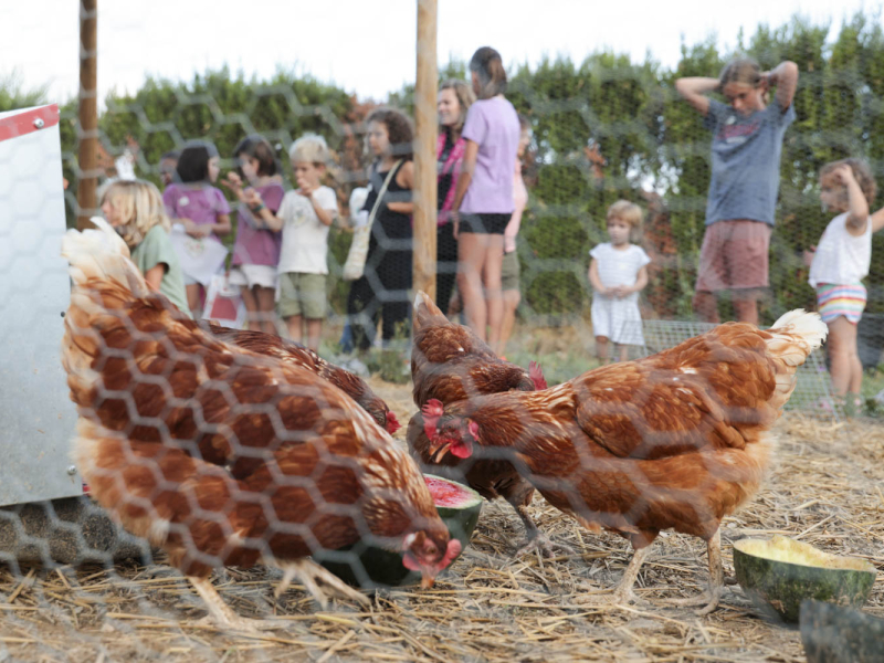 Visita a la Huerta ecológica