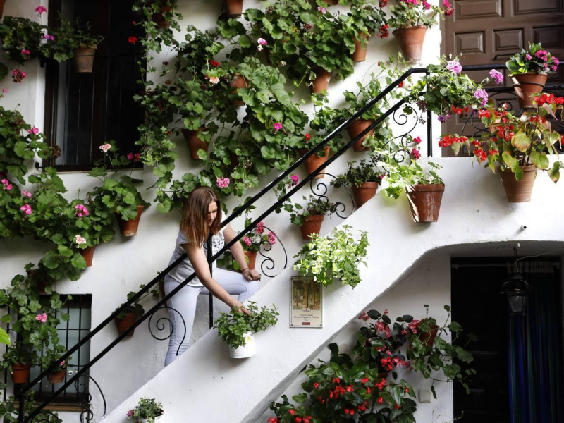 La Fiesta de los Patios de Córdoba, declarada Patrimonio Inmaterial de la Humanidad