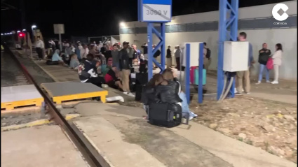 Una avería en el tren Alvia que une Madrid con Logroño deja en tierra a 197 pasajeros