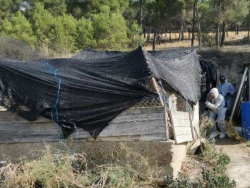 Investigado en Lodosa por tener 35 perros en condiciones higiénico-sanitarias "muy deficientes"