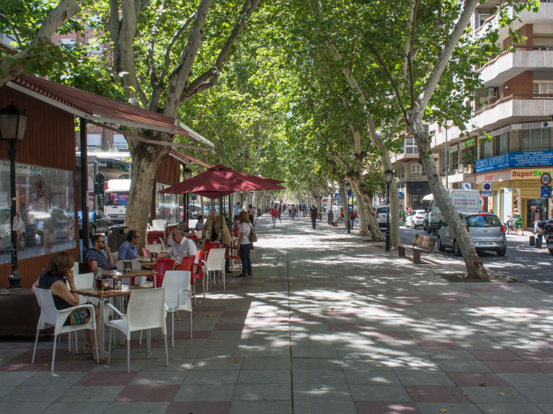 Bar en Murcia, archivo