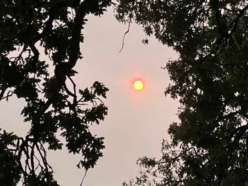 El sol, eclipsado por la nube de ceniza