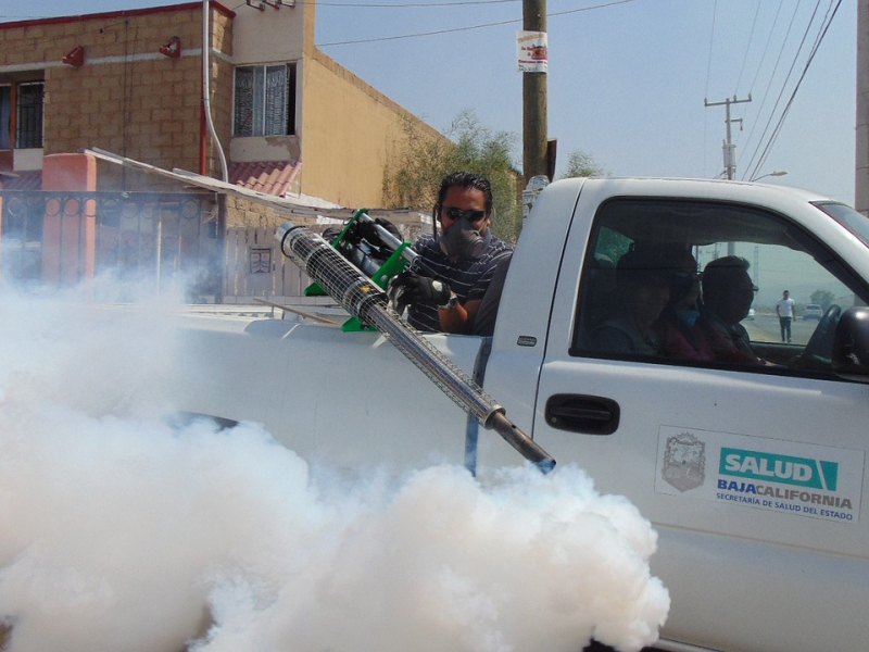 Fumigar es una de las posibles soluciones para atajar estas plagas