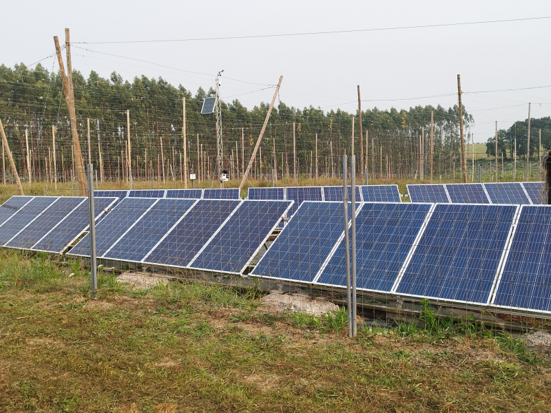 Paneles solares para alimentar la finca