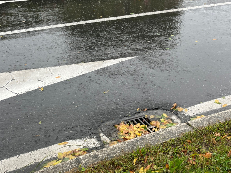 Una de las alcantarillas del entorno de la Alameda en la tarde de este miércoles