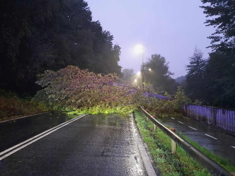 Un árbol se vino abajo y bloqueó el tráfico en la carretera del Paseo do Rato