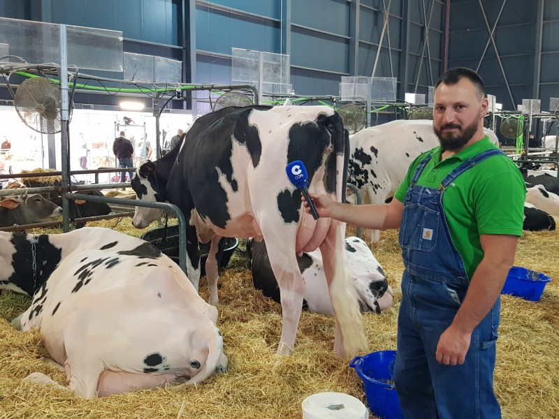 Pracownik jednego z gospodarstw hodowlanych uczestniczących w AGROPEC 2024