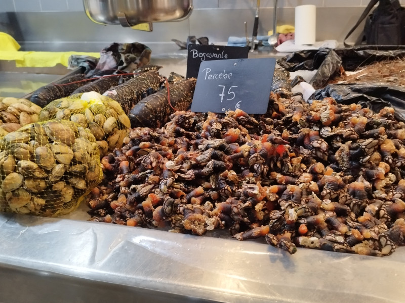 Percebes en el mercado de la Plaza de Lugo de A Coruña