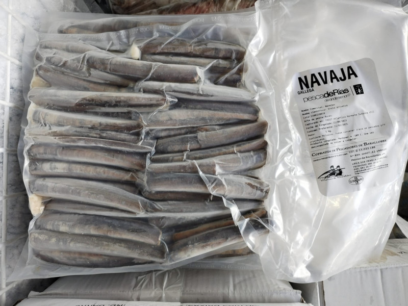 Muestra de navajas que comercializa el pósito de la ría de Ferrol