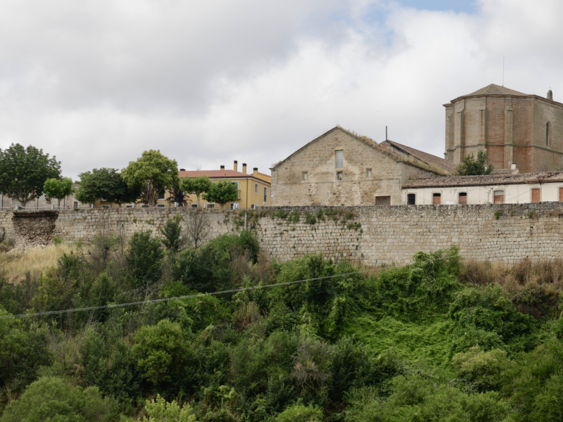 Muralla de Ledesma