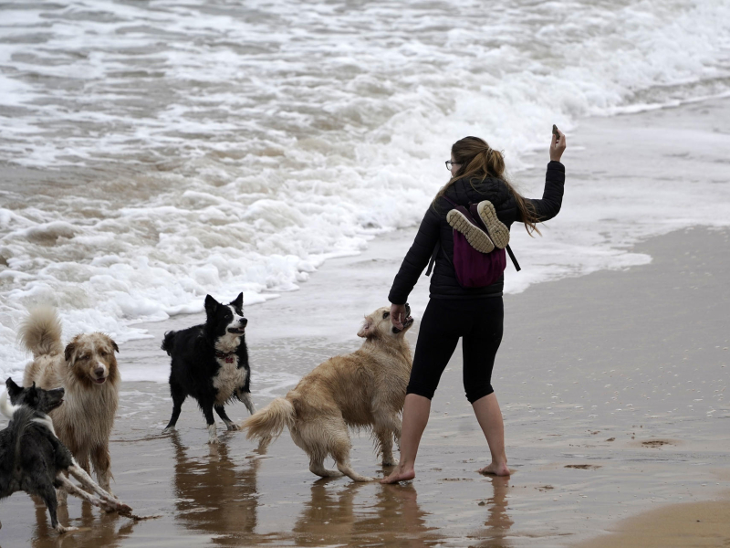 Una mujer juega con sus perros en la playa de San Lorenzo, en Gijón