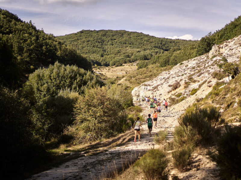 Personas corren por la montaña en Palencia