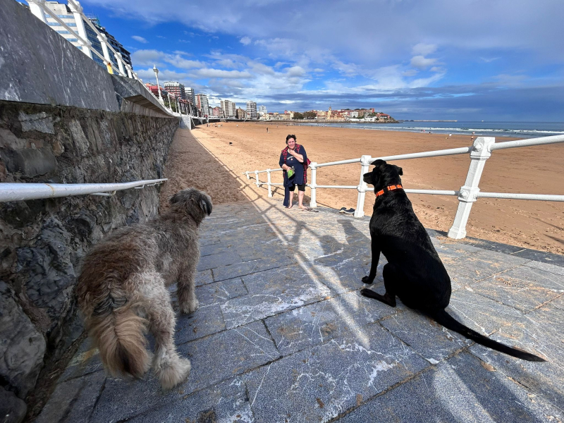 Eva, junto a sus perros, en una de las rampas de acceso a la playa de San Lorenzo, en Gijón