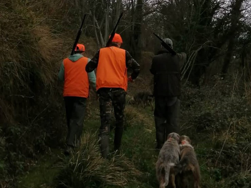 Cazadores con perros en un monte de Lugo