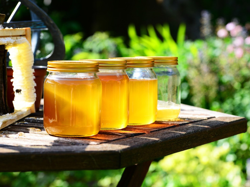 Nuestras amigas las abejas nos proporcionan un alimento con muchas propiedades beneficiosas