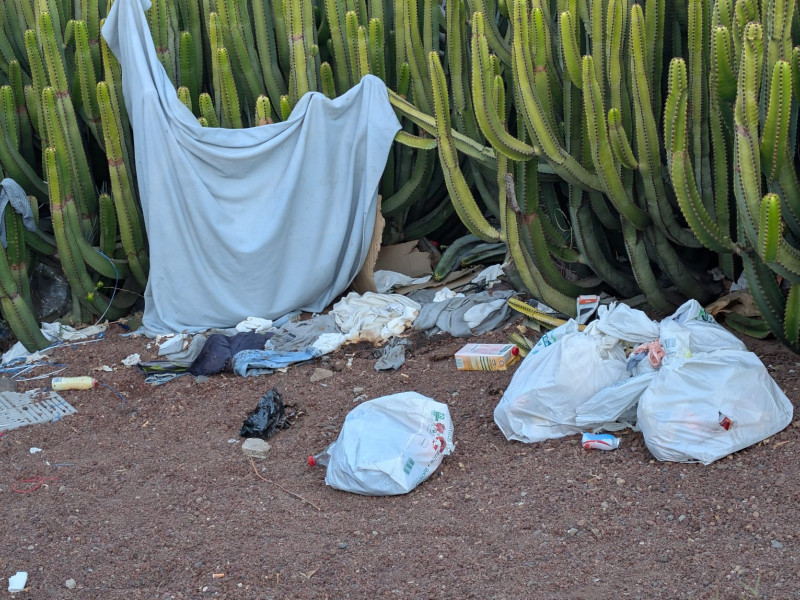 Jardines cercanos al Pancho Camurria