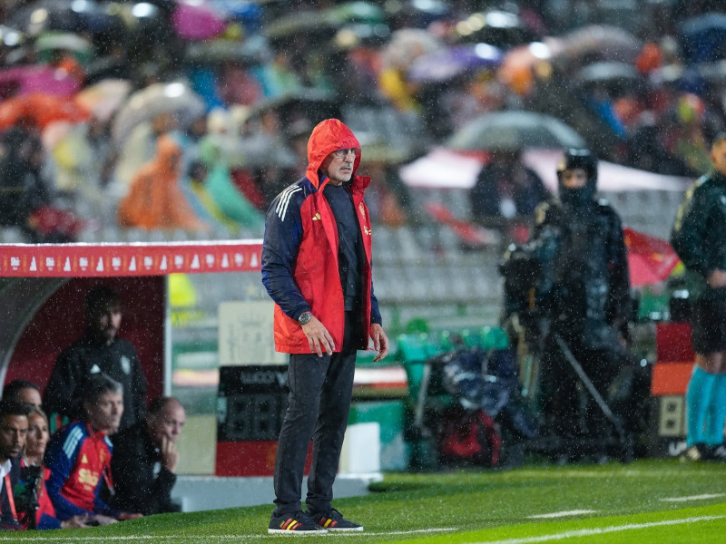 Luis de la Fuente, entrenador en jefe de España, observa durante el partido del Grupo A4 de la Liga A de las Naciones de la UEFA 2024/25 entre España y Serbia en el estadio Nuevo Arcángel el 15 de octubre de 2024, en Córdoba, España.