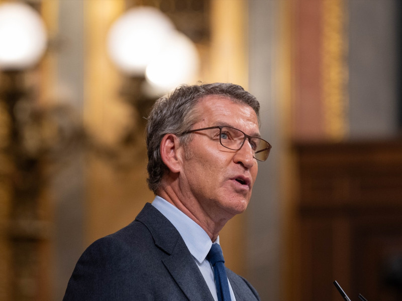 El presidente del Partido Popular, Alberto Núñez Feijóo, interviene durante una sesión plenaria, en el Congreso de los Diputados