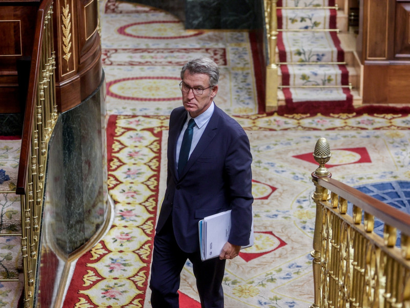 El presidente del PP, Alberto Núñez Feijóo, durante una sesión de control al Gobierno, en el Congreso de los Diputados