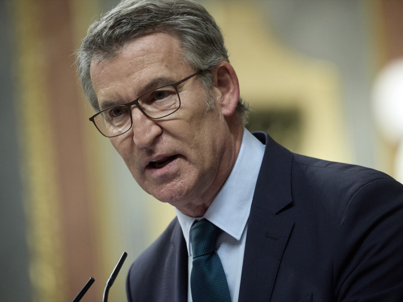 El presidente del PP, Alberto Núñez Feijóo, durante una sesión plenaria, en el Congreso de los Diputados