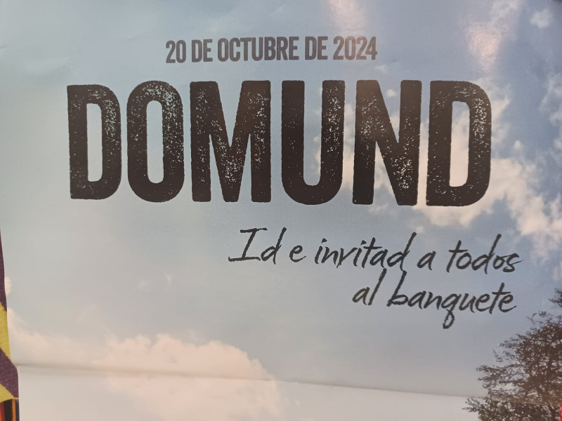 Cartel de la campaña del Domund