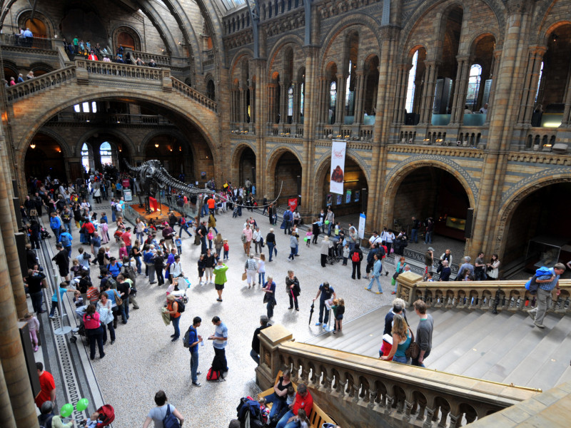 Natural History Museum, London, Britain, UK