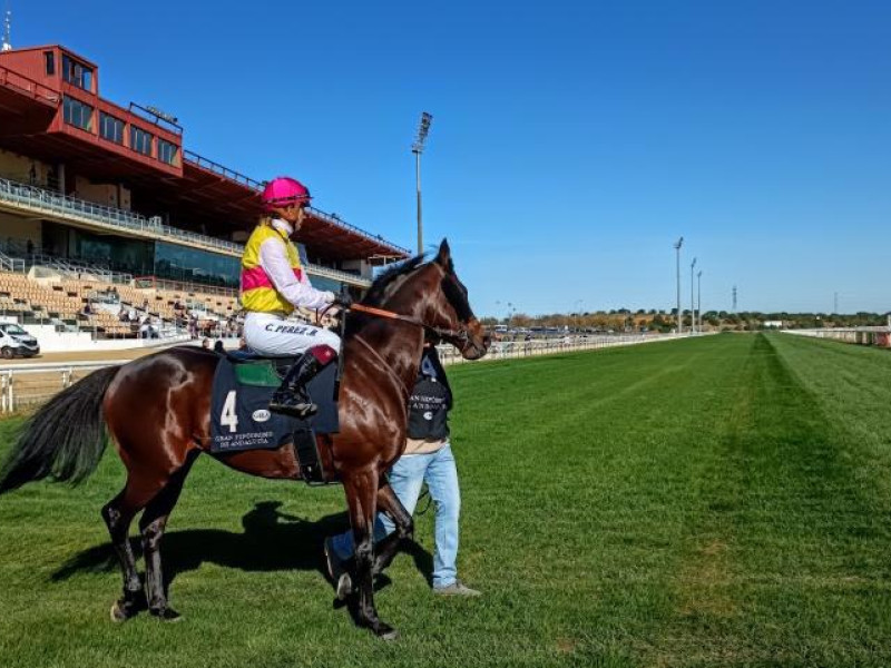 Cristina en el hipódromo