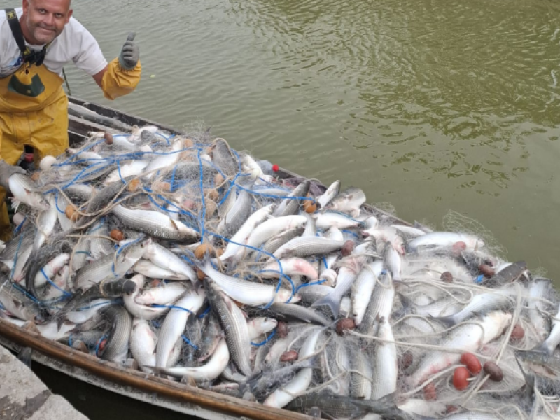 Pescador valenciano