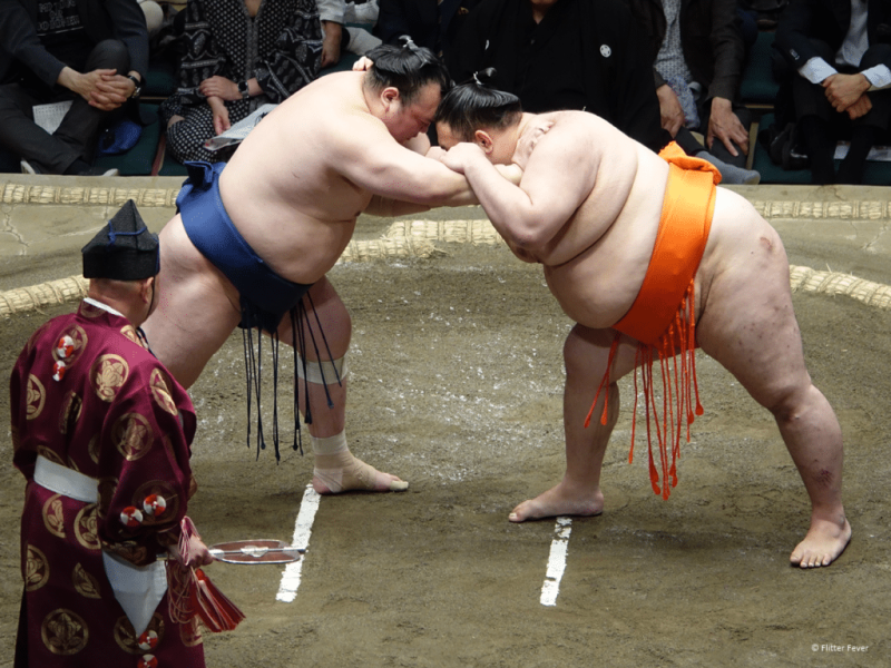 Combate de Sumo