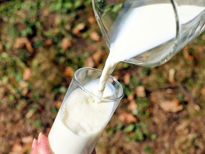 La leche entera y las bebidas vegetales: cómo preparar tu propia bebida de almendra, según la nutricionista Sandra Moñino